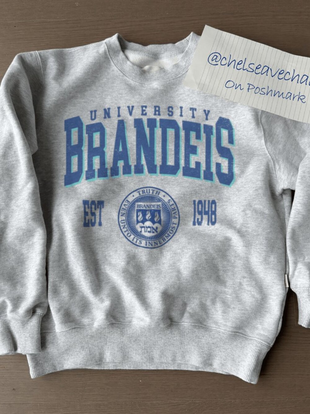 Vintage Style Brandeis University Sweatshirt, Brandeis University Unisex Shirt